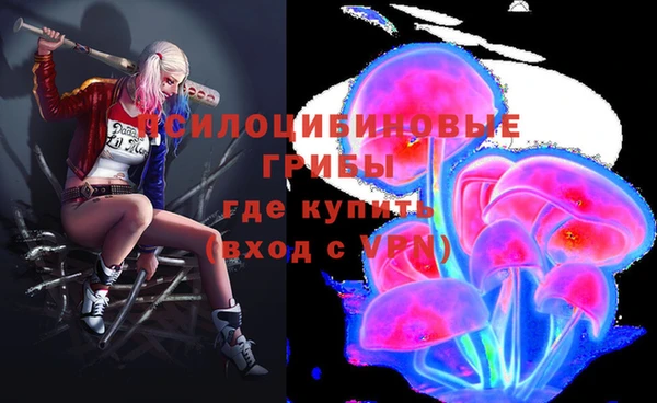 молекула духа Беломорск