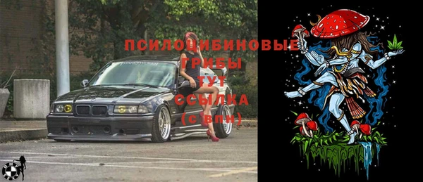 молекула духа Беломорск