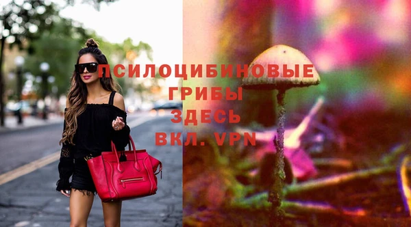 молекула духа Беломорск